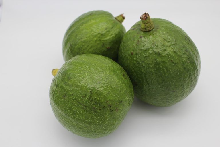 Avocat