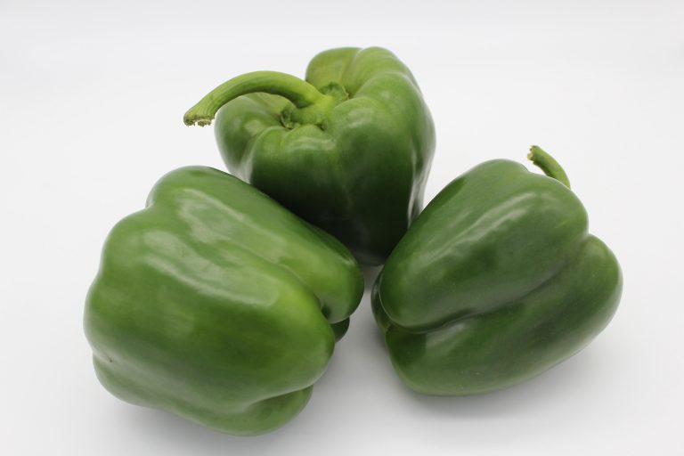 Poivron vert