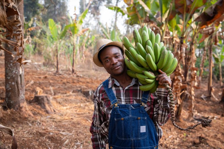 Agriculteur de plantain