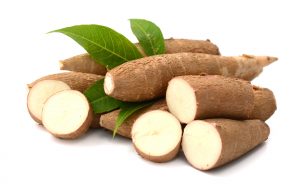 Manioc