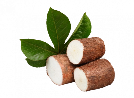 Manioc