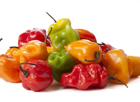 Piment antillais